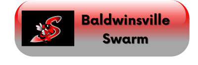 Baldwinsville Swarm.png